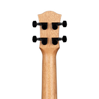 Cascha - Concert Ukulele - Solid Top Acacia