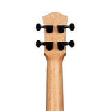 Cascha - Concert Ukulele - Solid Top Acacia