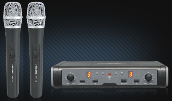 Pasgao Wireless Mic System with Two Handheld Mics